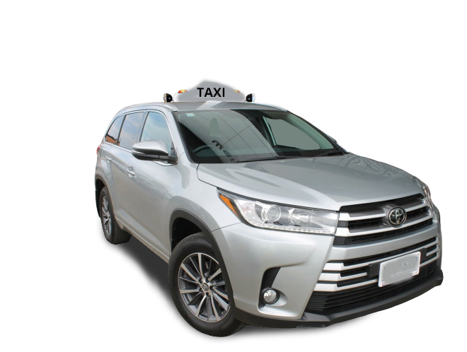 kluger 2